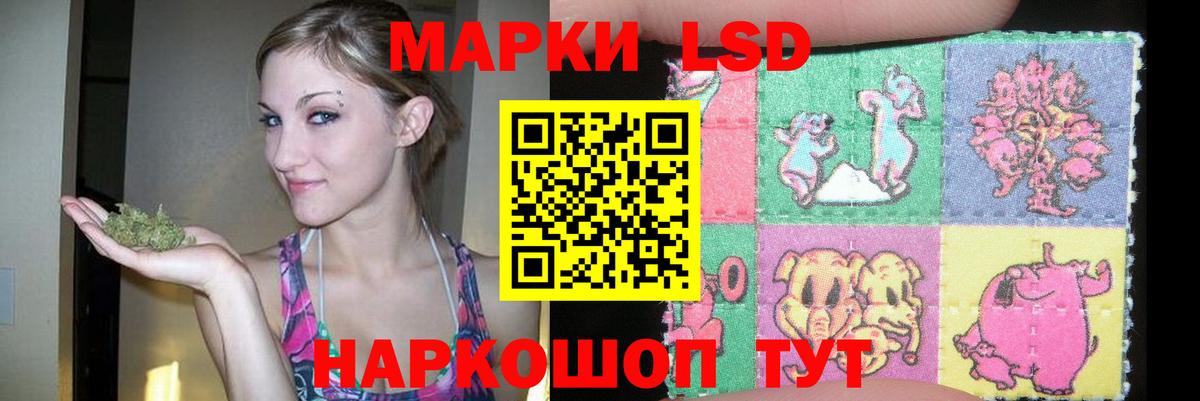 Лсд 25 экстази ecstasy  Вход с VPN  Лсд 25 экстази  Каменка 