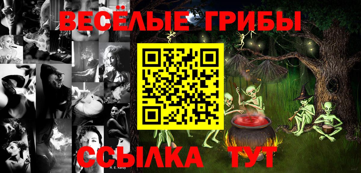 Галлюциногенные грибы Magic Shrooms  Псилоцибиновые грибы ЛСД  Вход с VPN  наркошоп  Каменка 