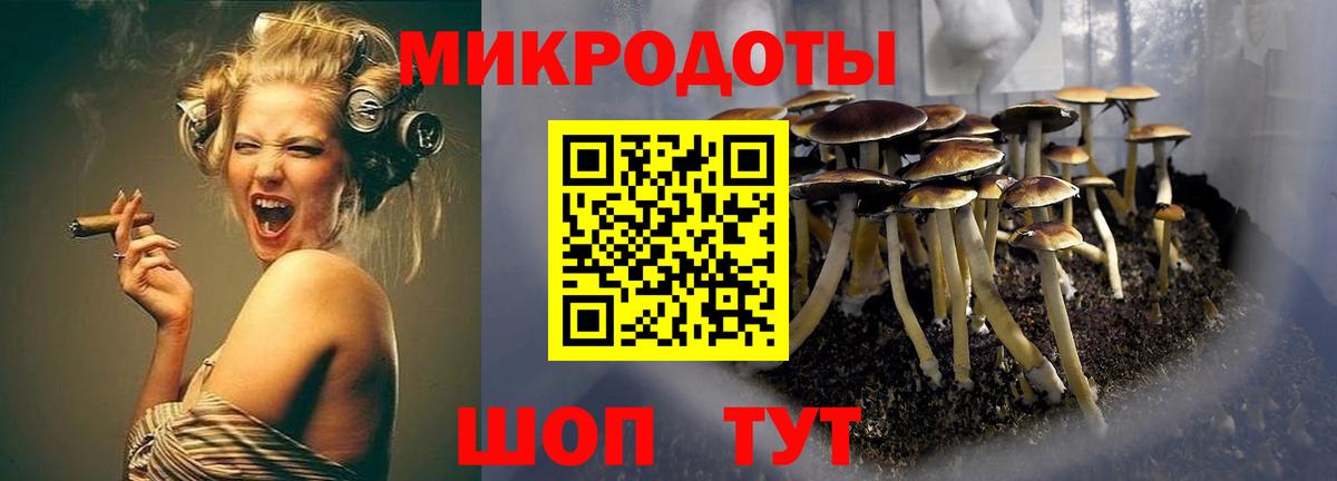 Псилоцибиновые грибы мухоморы Каменка